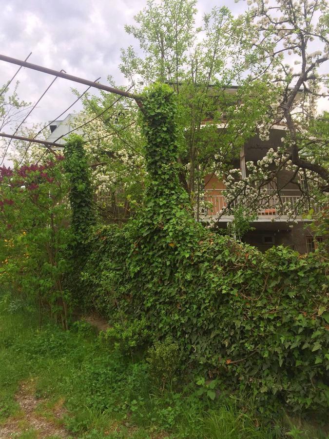 Nino'S Veranda Apartment Telavi Exterior photo